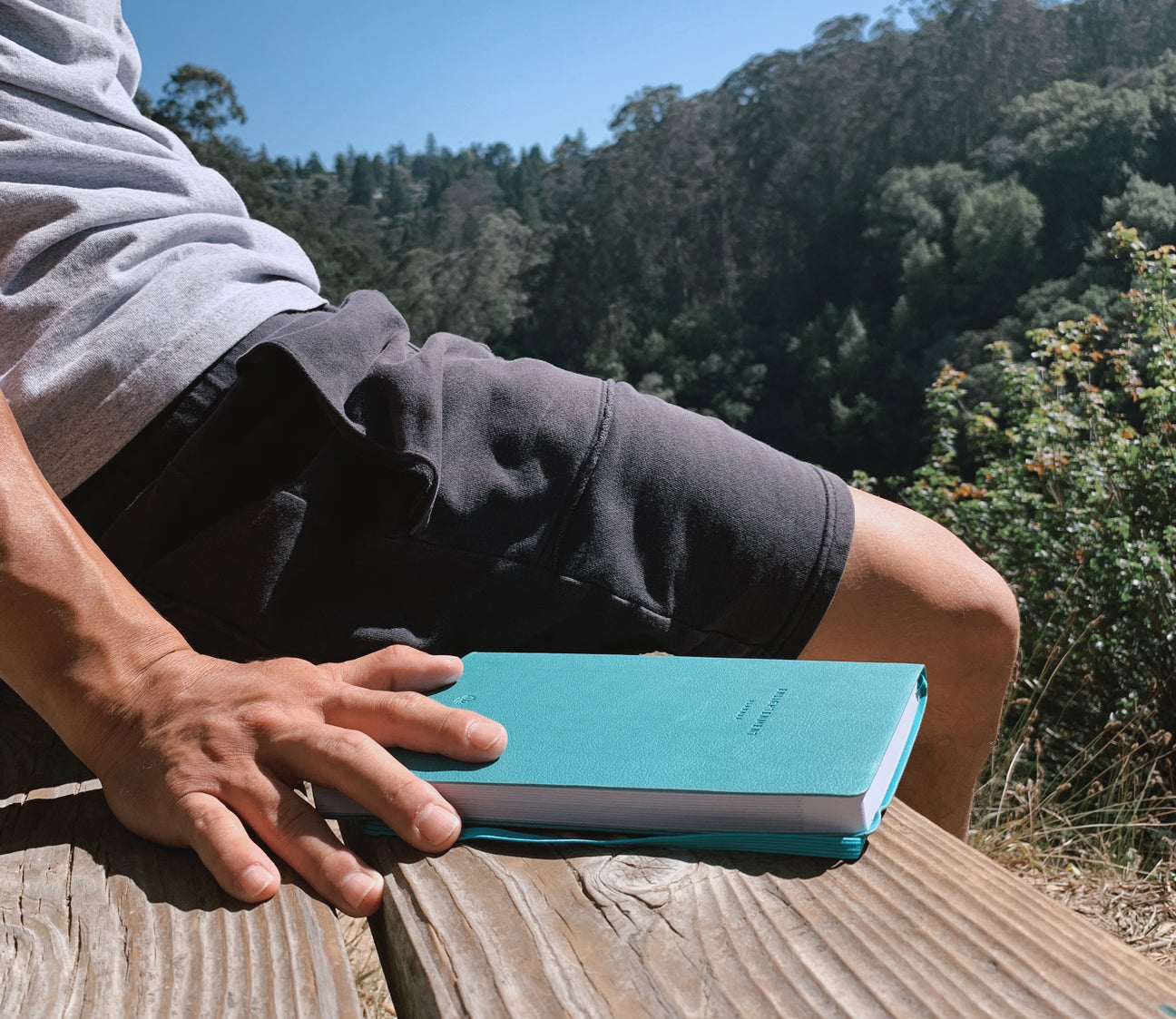 A Mindfulness Journey