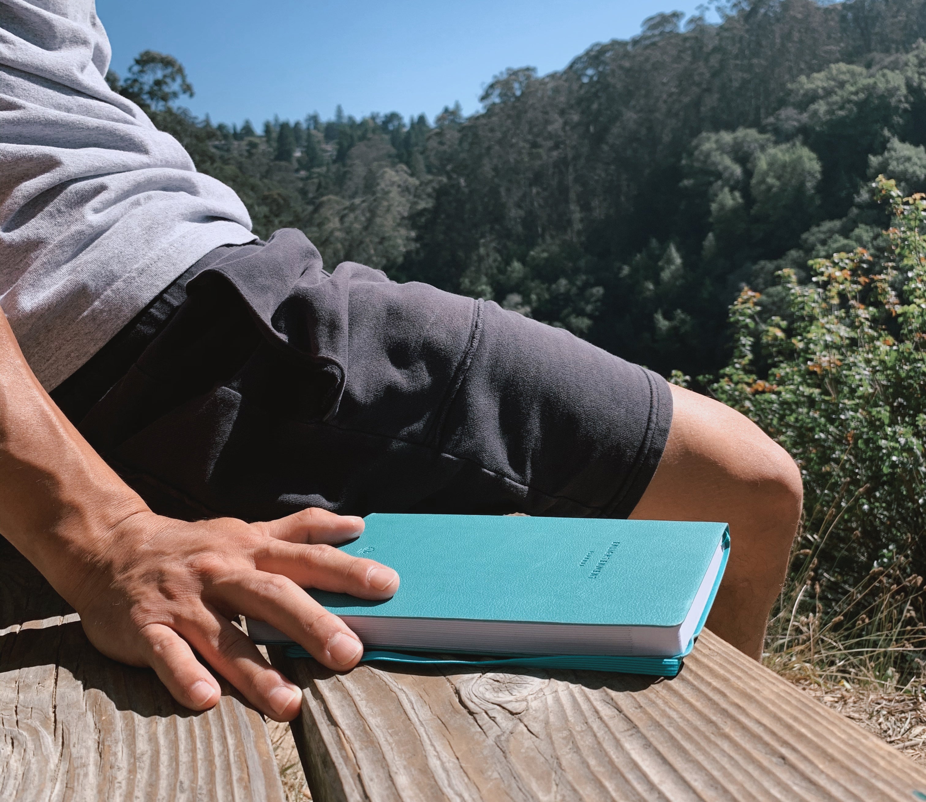 A Mindfulness Journey