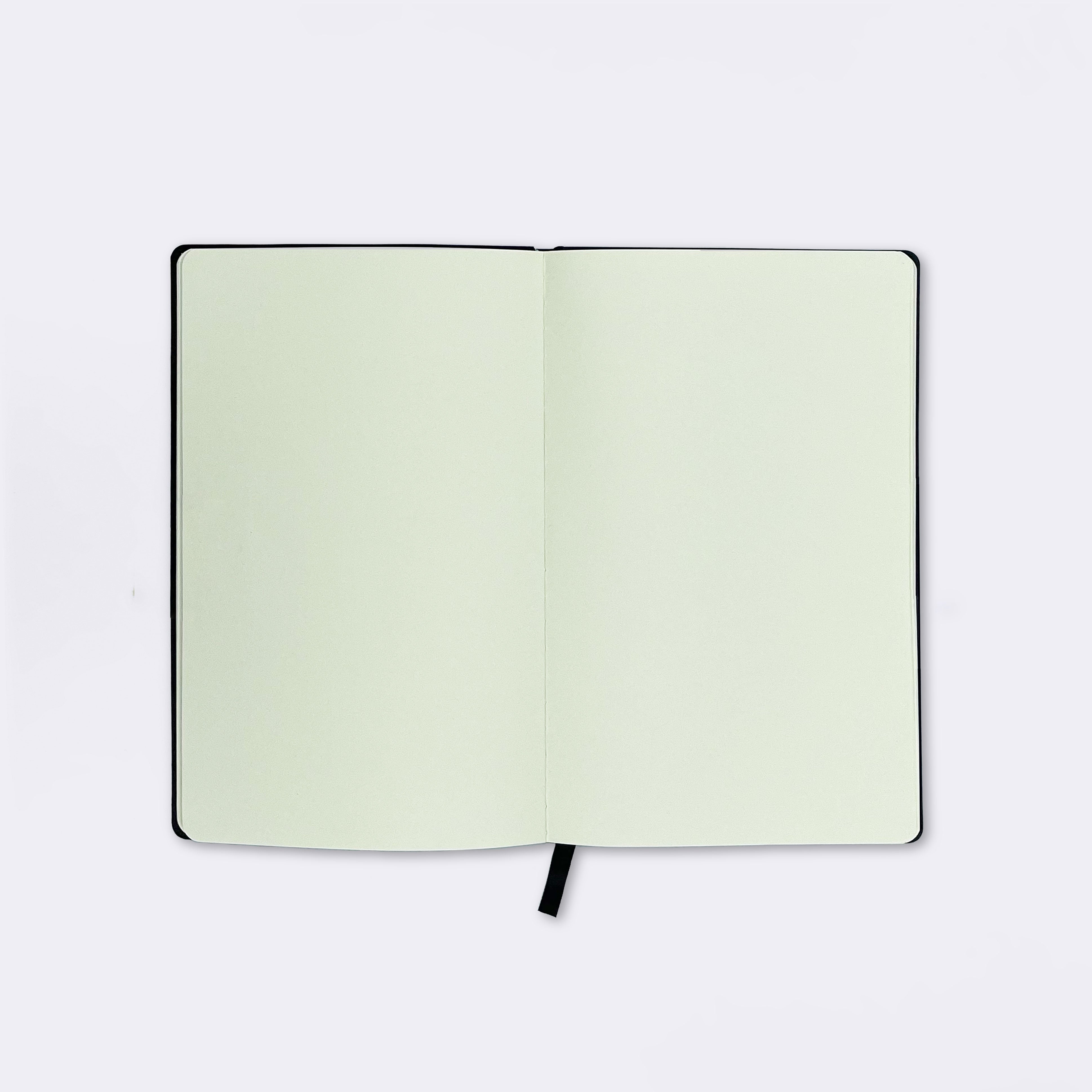 Enlightenment Journal, Turquoise