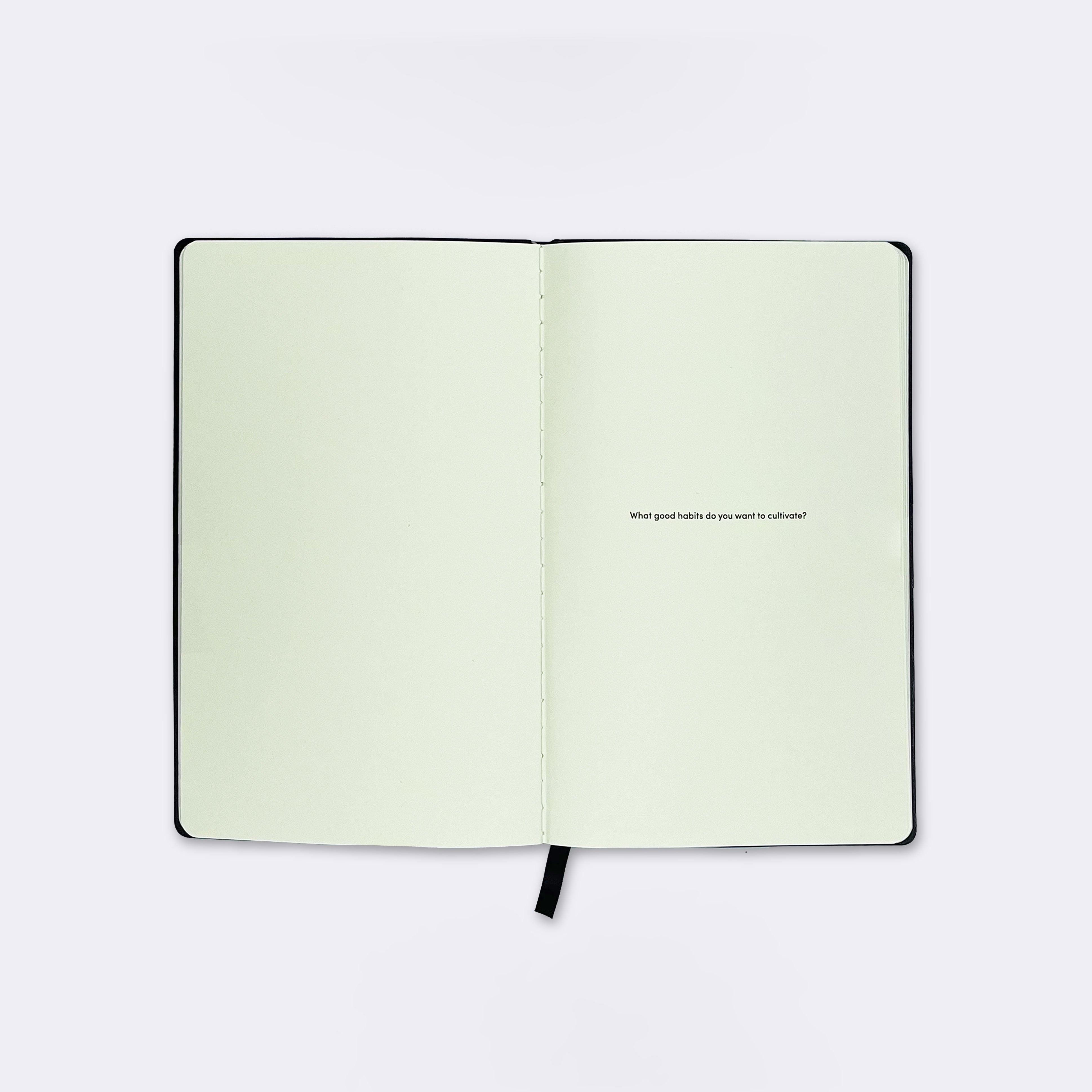 Enlightenment Journal, Evergreen