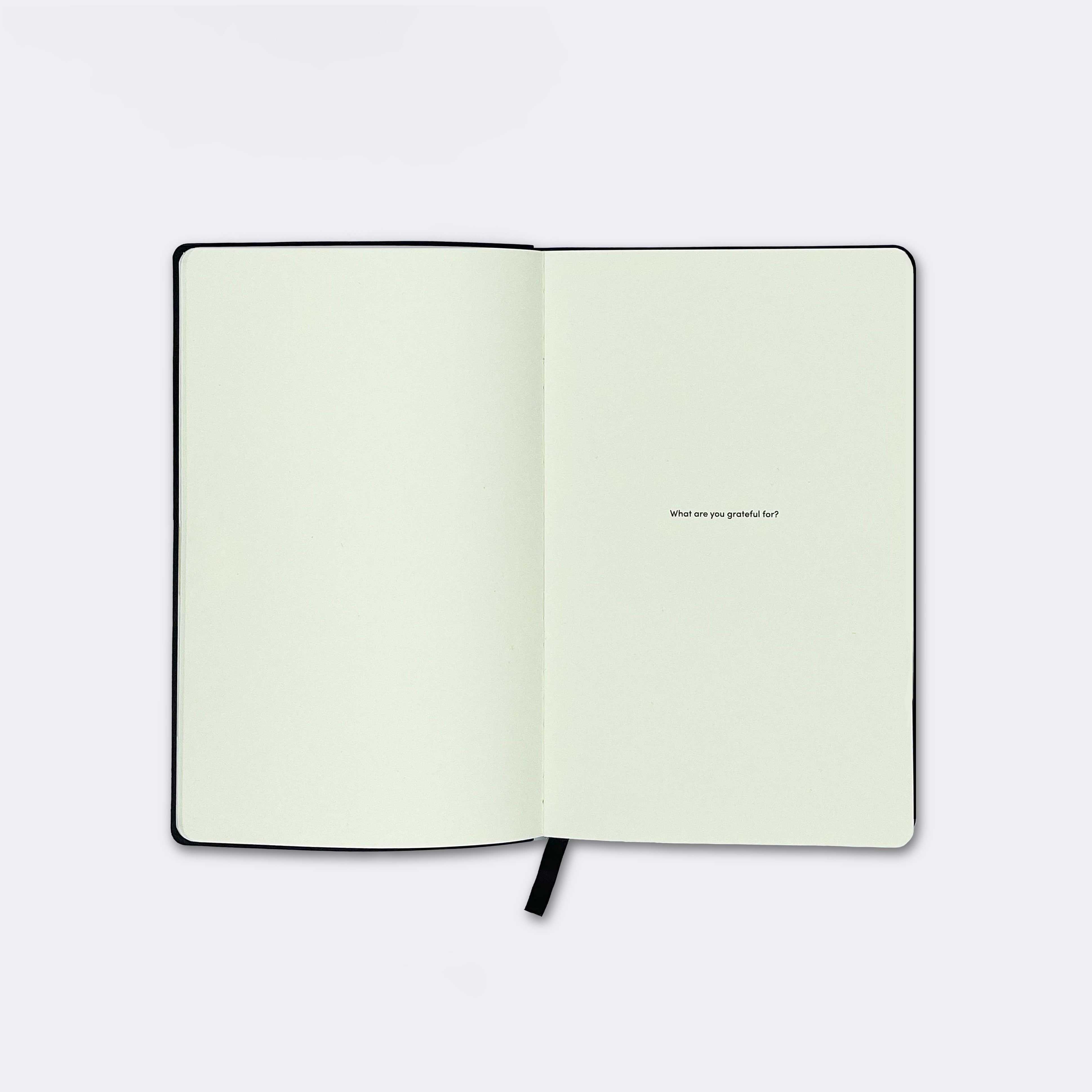 Enlightenment Journal, Hazelnut